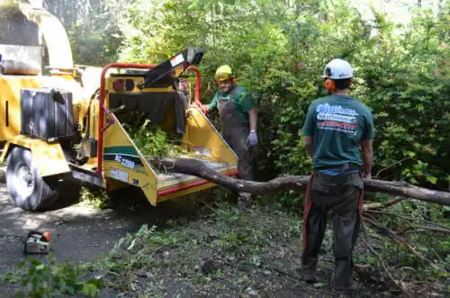 tree services Grandview Plaza